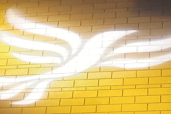 Lib Dem logo bird projected on blockwork