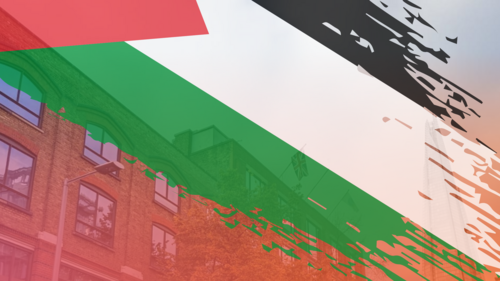 Palestine flag