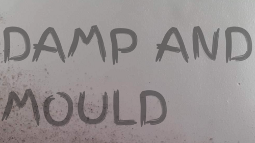Damp and Mould