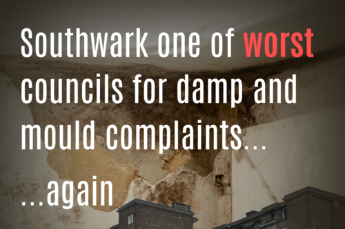 damp and mould